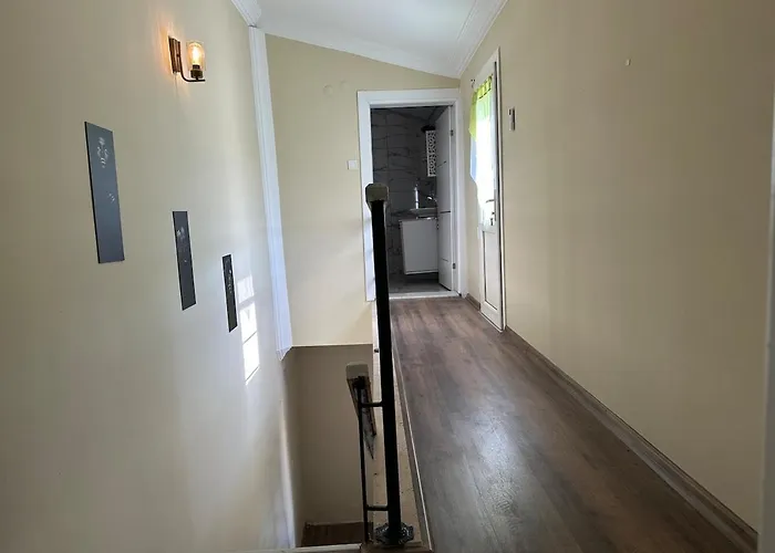 With Private Pool فيلة *